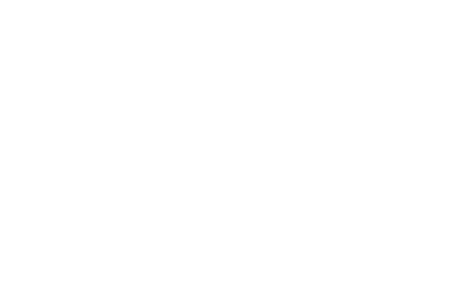 Dave Photographe